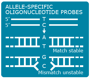 Simple diagram of two DNA sequences. A and T match stable, and G is normal, but C has a break in the line and the label mismatch unstable.