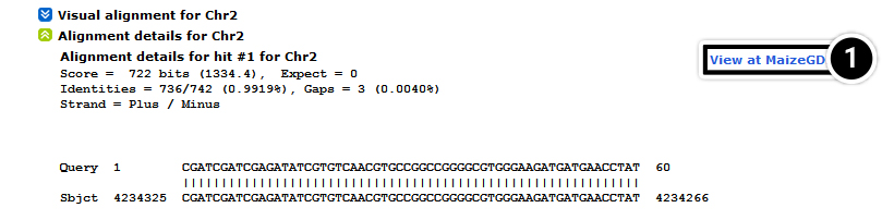 Screenshot of chromosome alignment results from query in text above.