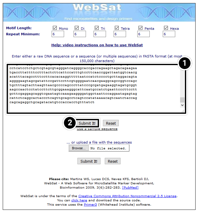 Screenshot of Websat interface with raw DNA sequence pasted in.