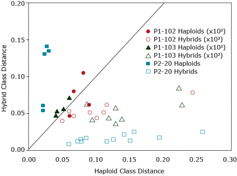 Graph of hybrid class distance - hapliod class distance