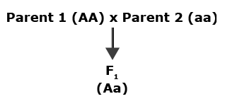 Two parents cross and F1 progeny