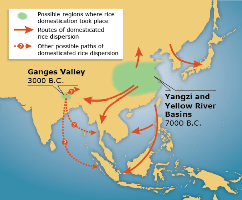Map showing origin, regions of domestication and routes of dispersal of rice between the Ganges Valley, and Yangzi and Yellow River Basins.