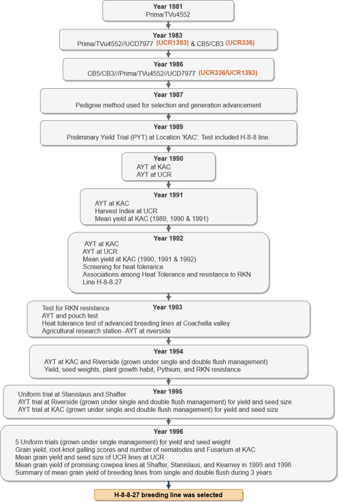 A flowchart showing the protocol followed over the years from 1981 to 1996 during development of cowpea cultivar CB27.