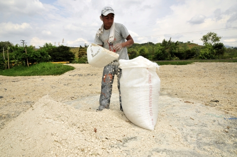 Person in hat filling a sack during cassava starch processing.