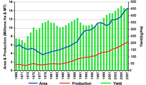Graph of cowpea showing increasing world world trends of area under production in millions of hectares (Ha) (blue line), production in metric tons (MT) (lower red line), and yield in kg/Ha (green bars) from 1969 to 2007.
