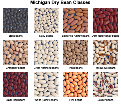 Photos of seed samples of Michigan Dry Bean classes varying in color and shape - black, brown, red, tan, white, mottled, orange, and roundish to oval.