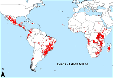 World map showing bean production in the tropical regions - Mexico, South America, and Sub-Saharan Africa.