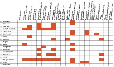 Chart shows resistance responses of various Arachis species to different pests and diseases as red shaded boxes.