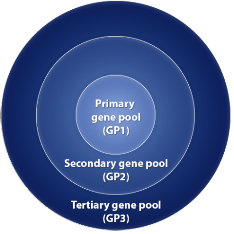 Gene pool chart with primary pool at the center, second in the middle and tertiary at the outer edges of a circle.
