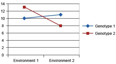 Graph of two crossing non-parallel lines of two genotypes with change in genotype rank between environments to show extreme case of G x E interaction.