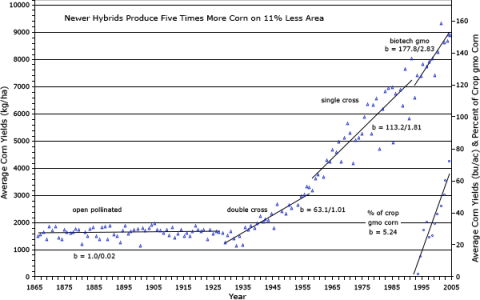 Historical graph of consistent dramatic increases in maize yield over the years (1965 - 2008) with change from growing open pollinated to double crosses to single crosses, and biotech developed seeds.