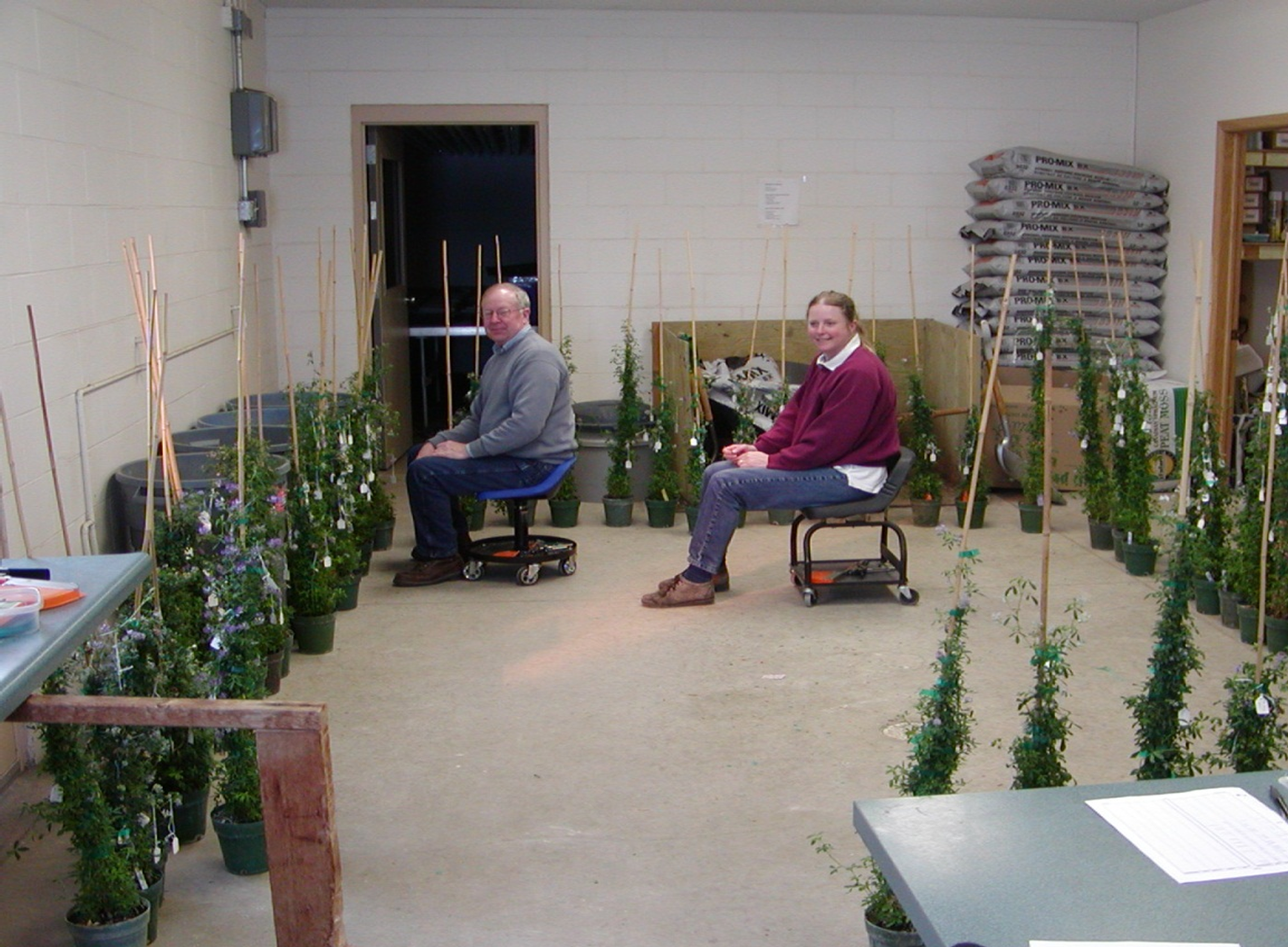 Two people seated in a room full of potted plants.