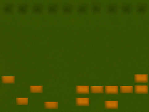 An image of agarose gel used for electrophoresis. Along the base are 4 rows of yellow blocks