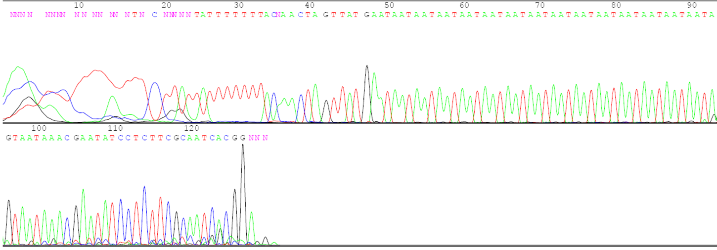 A second set of genetic sequence data