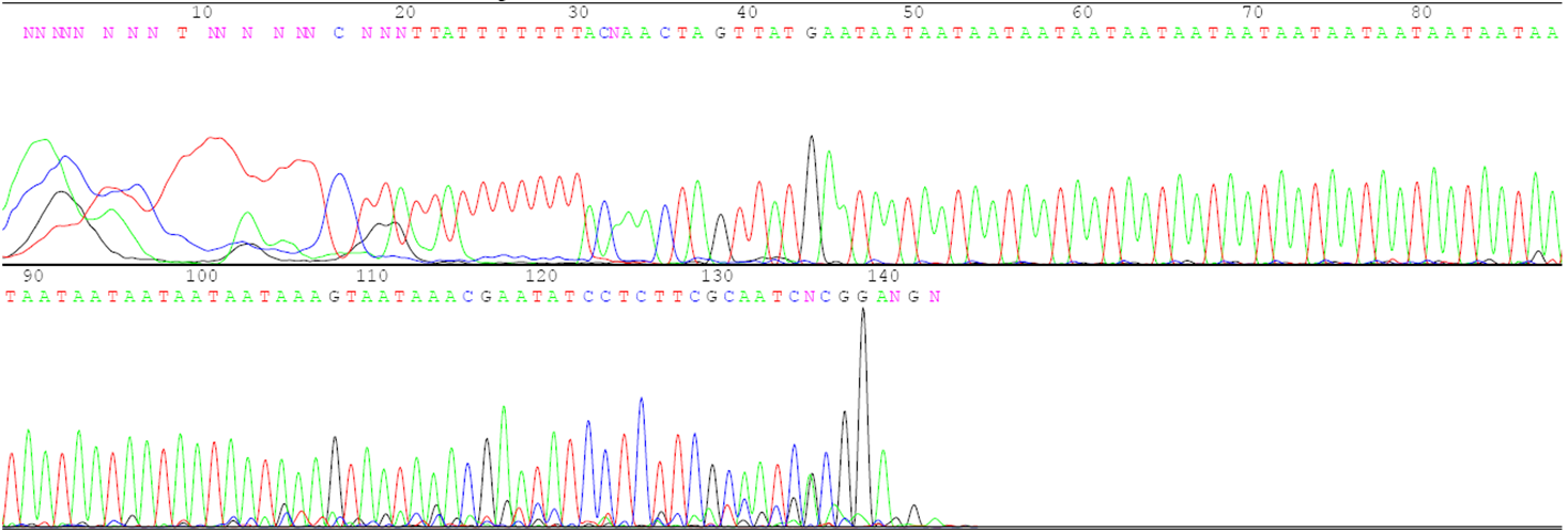 A third image of genetic sequence data