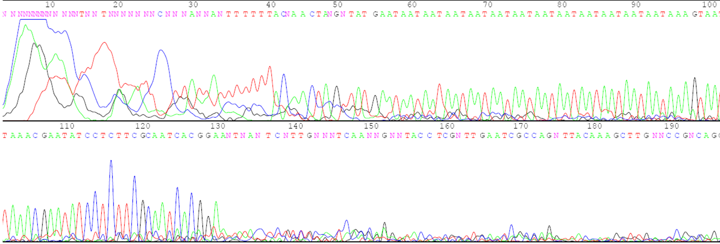 A fourth image of genetic ssequence data