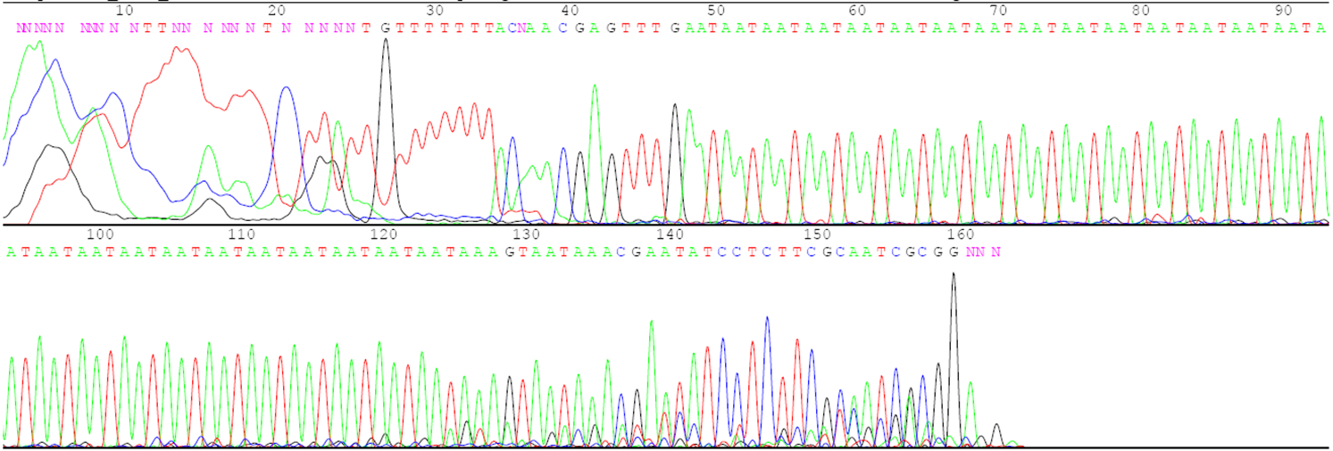 Sequence data presented through both letters and brightly colored lines.