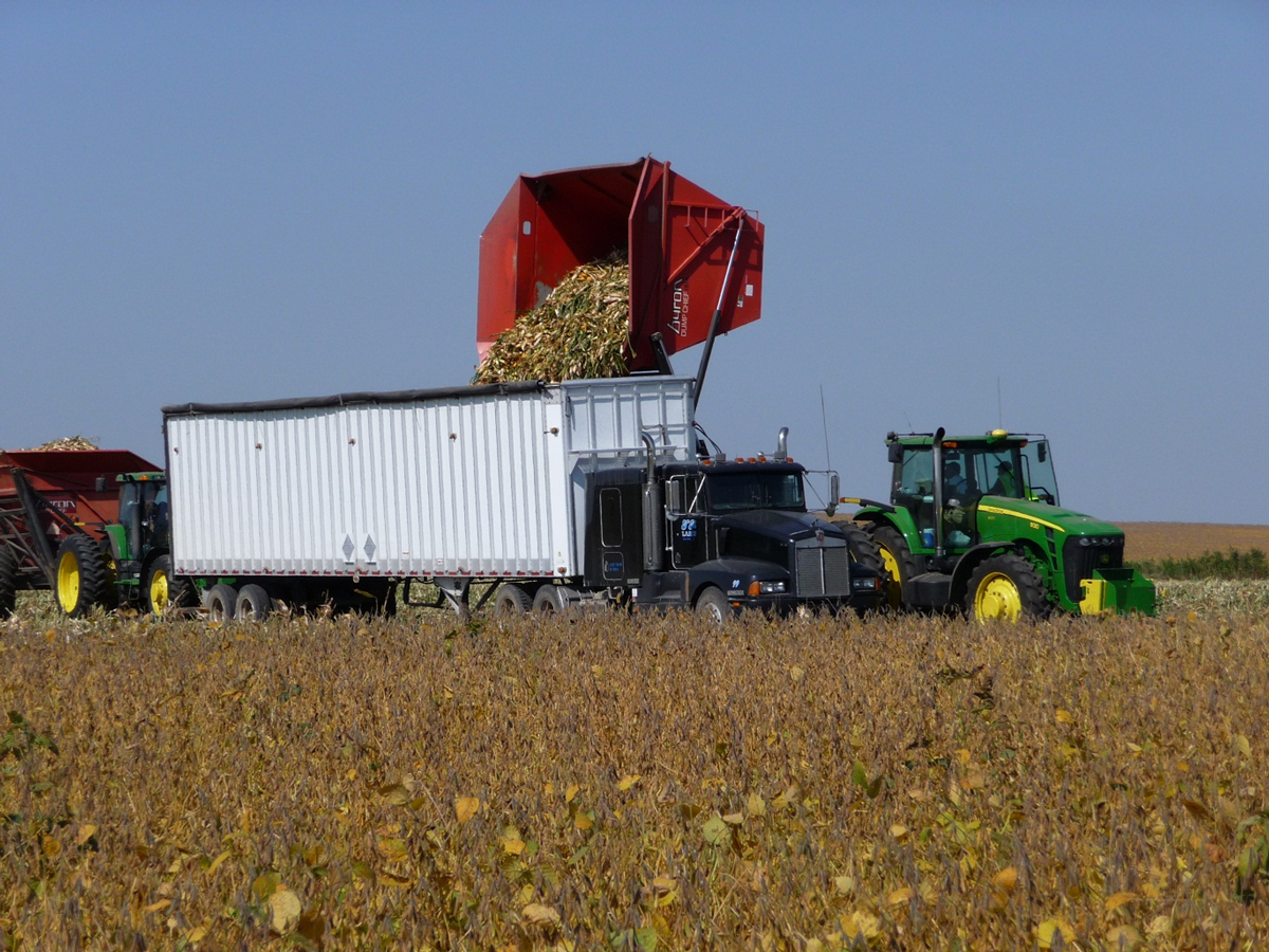 A tractor transfering corn into a semi truck.