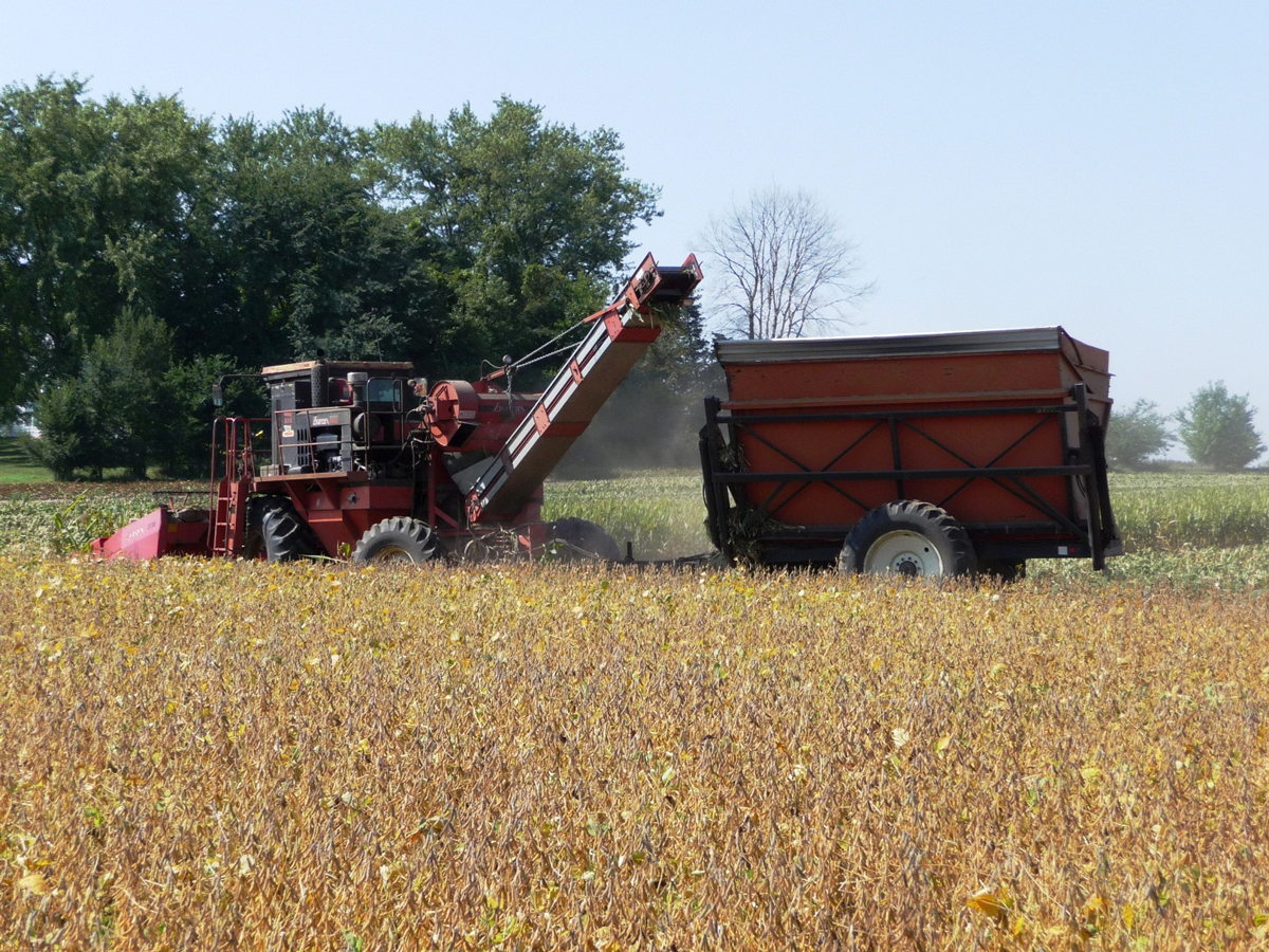 A harvester with the wagon behind it.