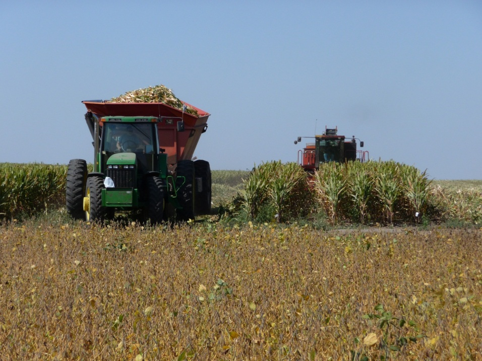 A tractor hauling a wagon full of corn.