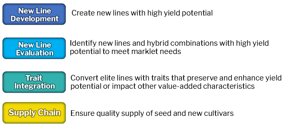 Figure shows the product development process progresses from new line creation, identification of new line combinations with high yields, integration of desirable traits into elite lines, and ensuring sustained quality seed supply of new cultivars.