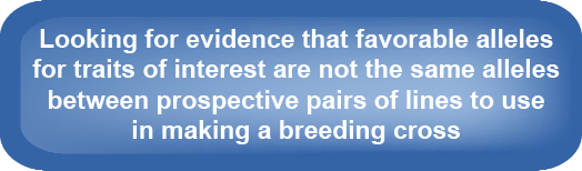 States the need for pairs of lines crossed for breeding be different in alleles for traits of interest to allow selection.