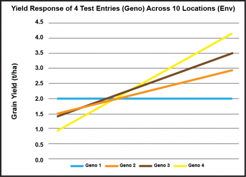 Figure shows the performance (grain yield) of four genotypes. 2, 3, and 4 changing ranks while genotype 1 remains constant across 10 environments; genotype 4 performs best in the most favorable environments.