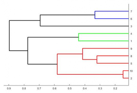 Figure is a dendrogram of relative similarity/dissimilarity among lines.