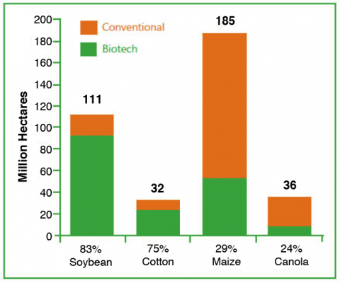 A stacked bars plot showing millions of hectares and percent of biotech (green color) soybean, cotton, maize and canola as a percentage of conventional (orange color).