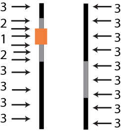 Figure shows a target gene (orange color), flanked by other markers for efficient and effective use of MABC.