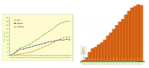 Figure shows a line graph (on left) and bar graph (on right) to show global area of GM crops, 1996 to 2015, and in industrial and developing countries (in million hectares).