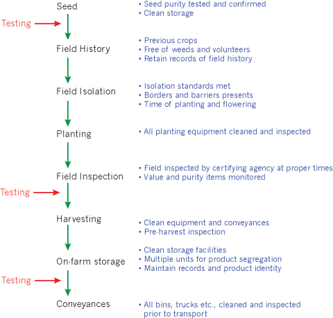 Figure is a flowchart showing various points where quality control seed testing is done from seed acquisition through planting, harvesting, storage, and conveyances.